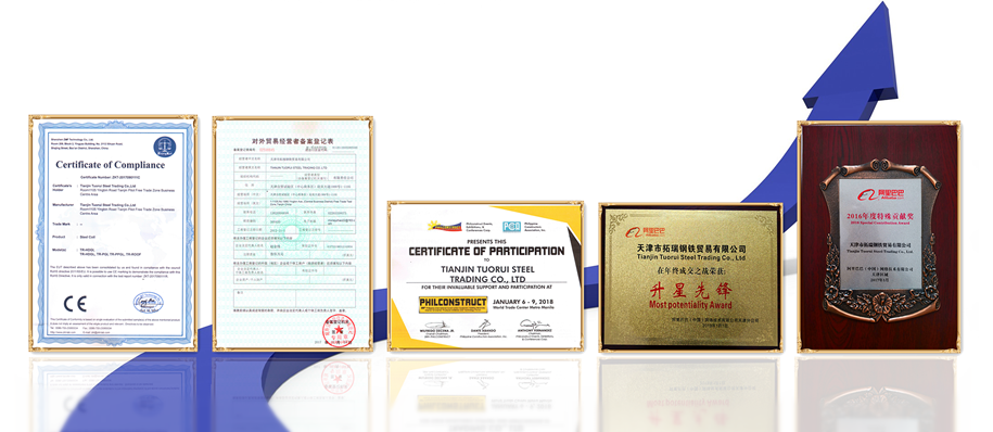 Prepainted galvanized/galvalume steel coil/strip